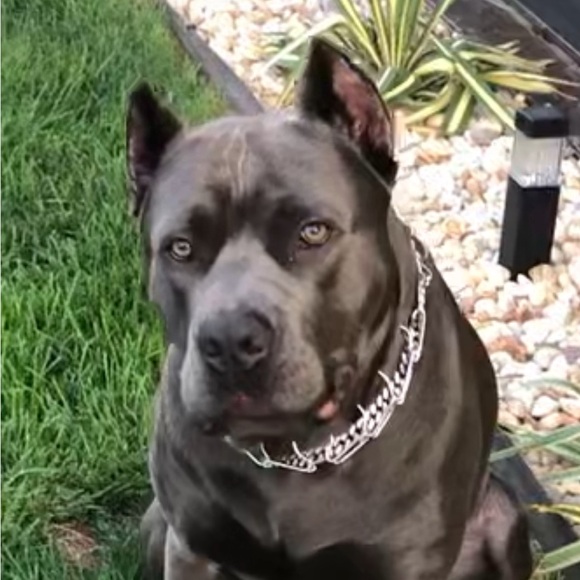 Like this flyer to be notified when I go Live! - Picture 10 of 13